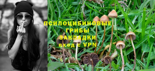 a pvp Зеленодольск