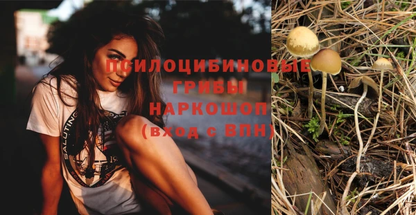 a pvp Зеленодольск