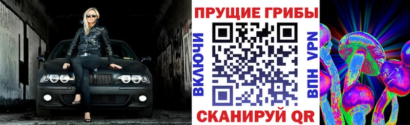 Псилоцибиновые грибы GOLDEN TEACHER  Купить где  Нурлат 